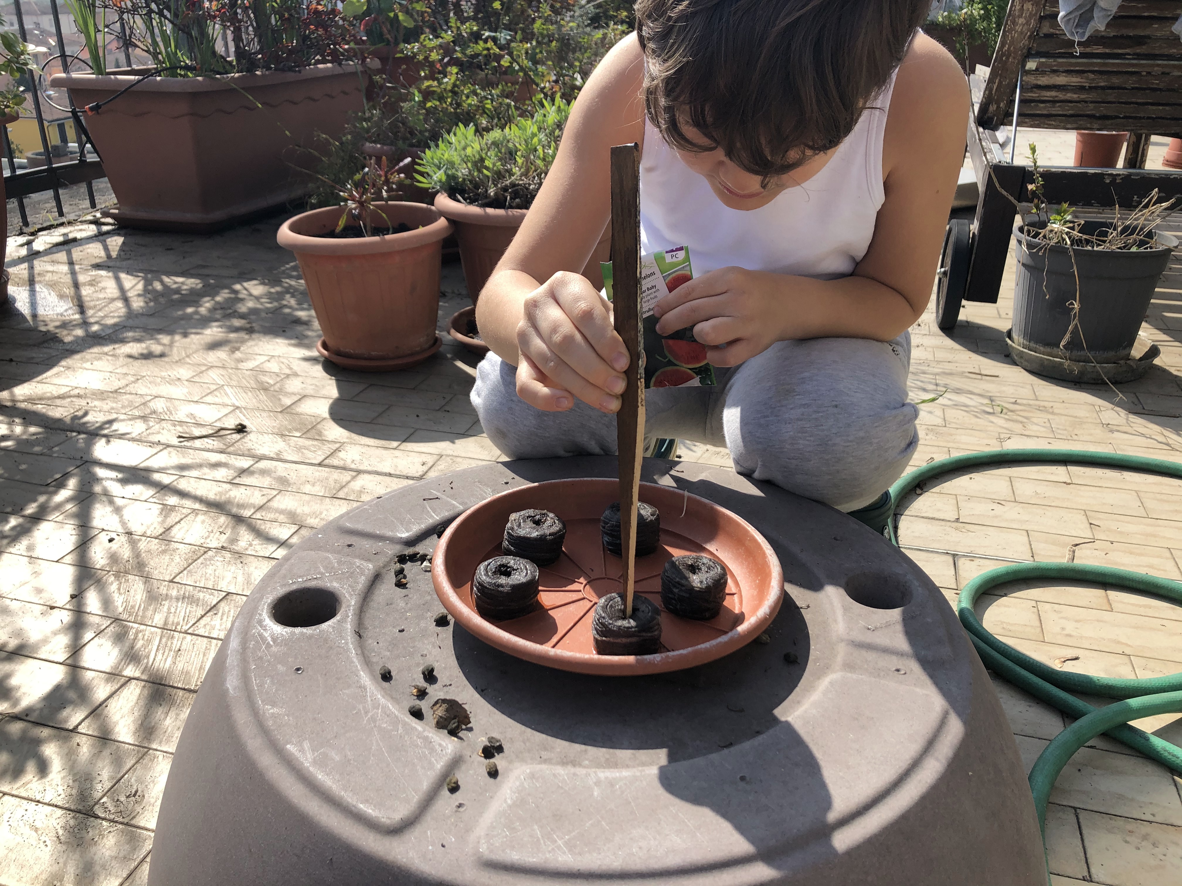 planting